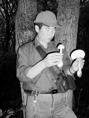 踏遍长白山“挖尽”山野菜