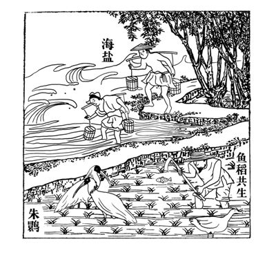 ��һ���Ų��������й�