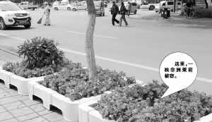 ��˳��ǣ���������ܡ����족�ʻ����з�