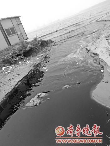 黑色污水经明渠直排大海