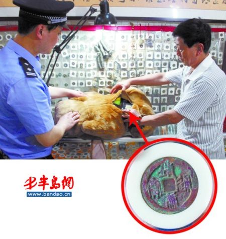 玩具狗里藏着"传家宝"妻子不知情扔进垃圾桶