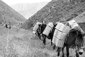 ��Զ��˼ɽ��Ķ���������溦