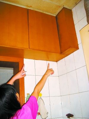 ��������¥��¥��BR/��������©ˮ����