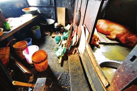 �����������������ֱ�ż��꽭