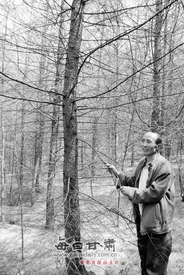 ���������ܳ溦�ֵش�ǧ��Ķ��ҵ���Ž�ɱ�������Чҩ