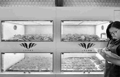 ��������԰