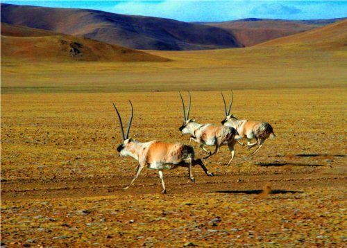 [�ɿ������ռ�]־Ը�߳ɳ��ǣ��Ӹо����ʵ������ش�