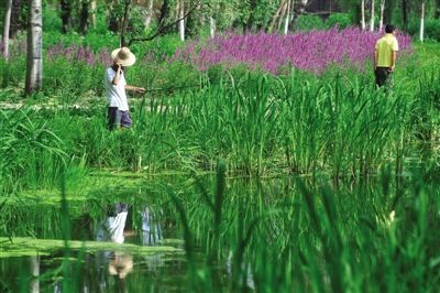 ����300������ɽ���λ���(1)