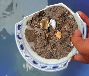 “小白礁1号”露出真容