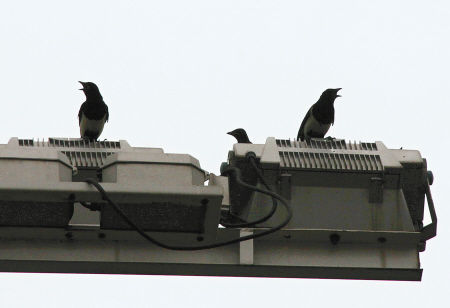 ϲȵ��ȥͬ�������