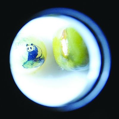 �̶��ϵ���è���նӡ���Խ���廨���