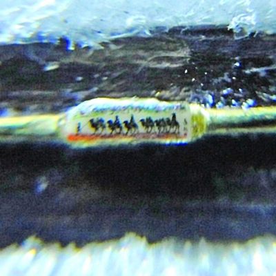 �̶��ϵ���è���նӡ���Խ���廨���