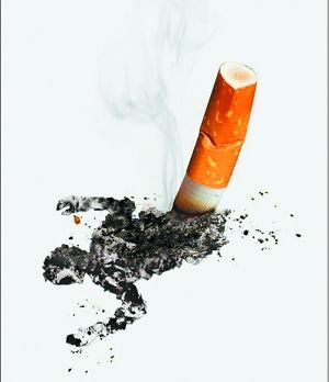 ���ݣ������������̲���Ȱ��߿ɷ�200Ԫ