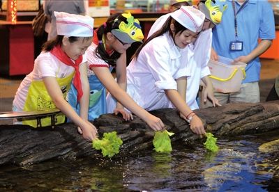 ���������Ӫ