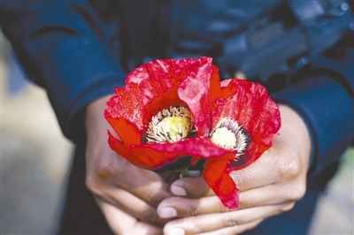 ��Ʒ�����������ͷ�Ź���