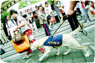 ��������ж�