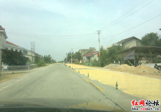 ����ũ�������г�ռ��ɹ��������Ϸ�ơ��乤�ӡ�����