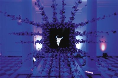 �鱦����������¬����