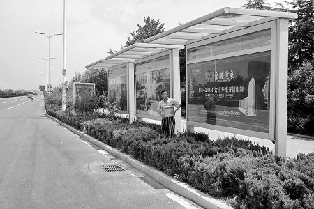 公交站种满绿树