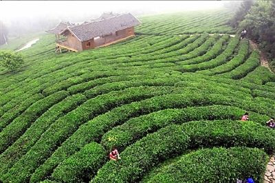 ������������Ŵ�