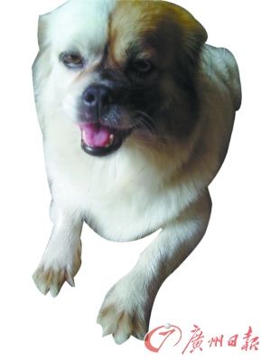 �����ü�����