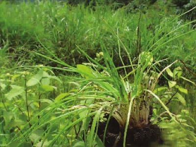 ��3���ꡱ����ˮ������ɻ�չ