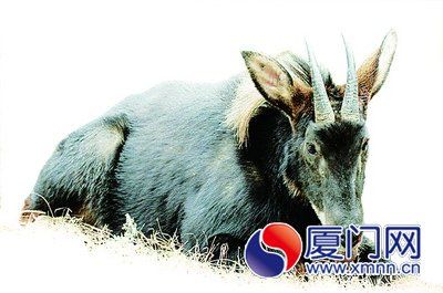 �����ޡ����ٴ���մϲ��