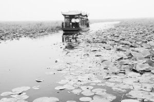 ���Կ�ƽ�ļ�������̬��ӵ���˳Ǳ�ˮ����Ͷ�ʳ�