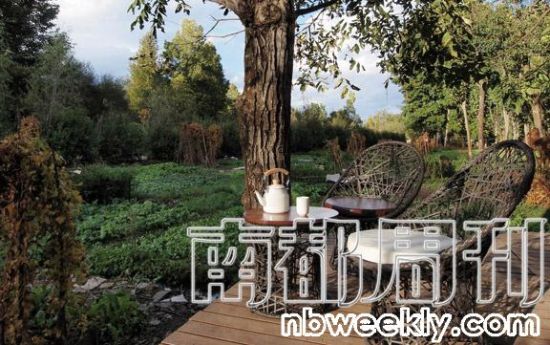 �����Ҳ����С����