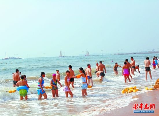 夏日提示:洗海澡小心海蜇伤人