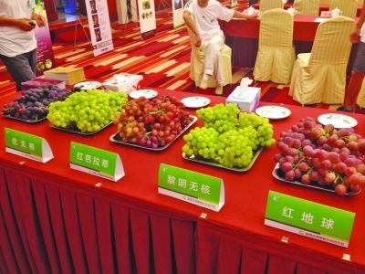 湖南葡萄卖到南京,最贵每斤150元