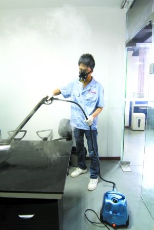 净化空气的室内植物排行_用水培植物净化室内空气