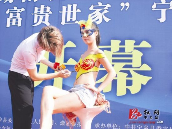 2012年湖南县域汽车巡展宁乡站圆满闭幕