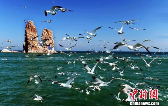山东蓬莱至长岛海上航线实行分道通航