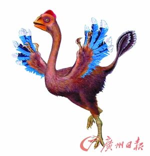 “辽西恐龙”来河源展出