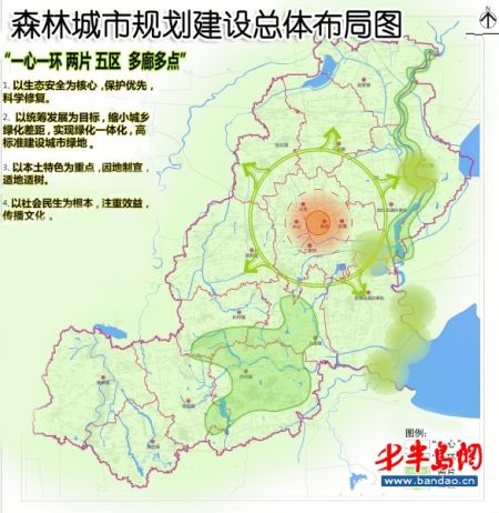 胶州建五个万亩林场 少海湿地公园迈入国家级