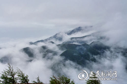 刘海砍樵原唱视频,刘海砍樵原唱视频播放