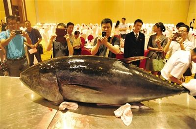 顶级蓝鳍金枪鱼售价六万引围观