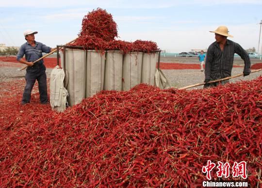 新疆各县市gdp沙湾县(3)