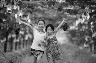 �������׽����Ѳ�ժ�ڻ�ӭ��