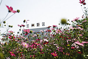 中国铁建和三一重工企业落户兰州新区