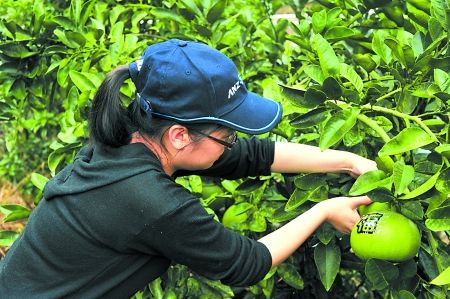 村镇银行输血 小作坊三年“长”到7000万元