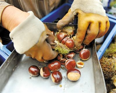 长城脚下小住怡情