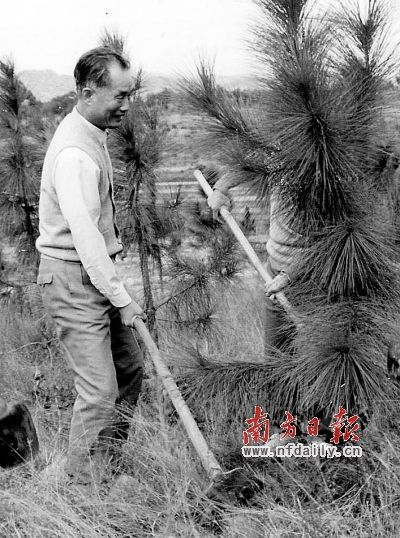 ������㶫�ĸ￪��