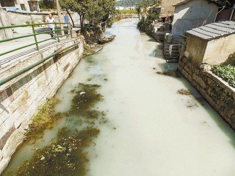 �㽭����ʯ�ϳ�Υ�������¡�ţ�̺ӡ���������