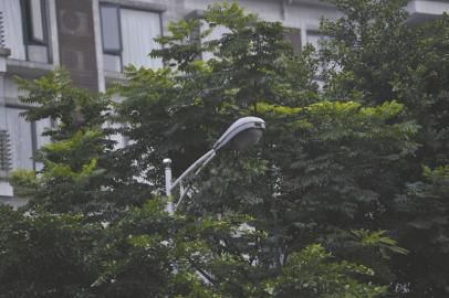 路灯仍被树枝挡因为修枝破美观?