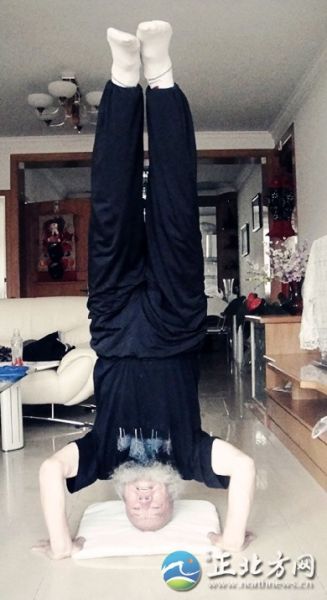 ���μӵ������й���������Ѯ�Ϻ����浹��������