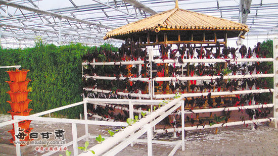 高台县慧丰现代设施农业科技示范基地一角