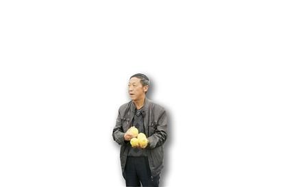 安岳县:柠檬树下农民的笑脸