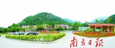 桔红玉翠美丽四会